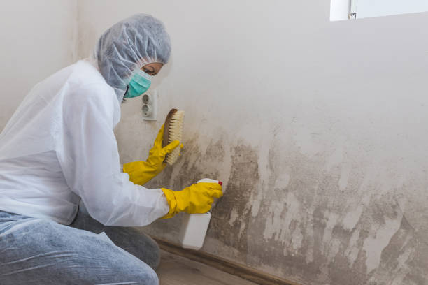 Best Mold Testing  in Albany, OR