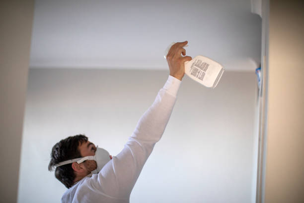 Professional Mold Removal in Albany, OR