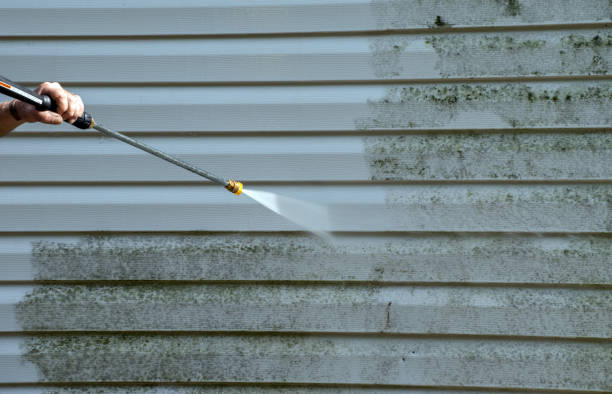 Best Attic Mold Removal  in Albany, OR