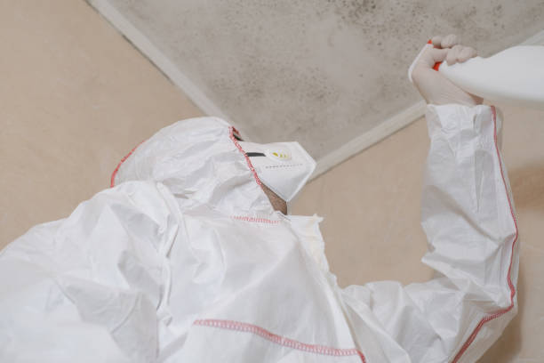 Best Professional Mold Removal  in Albany, OR