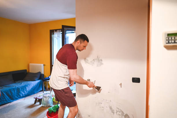 Best Mold Testing  in Albany, OR